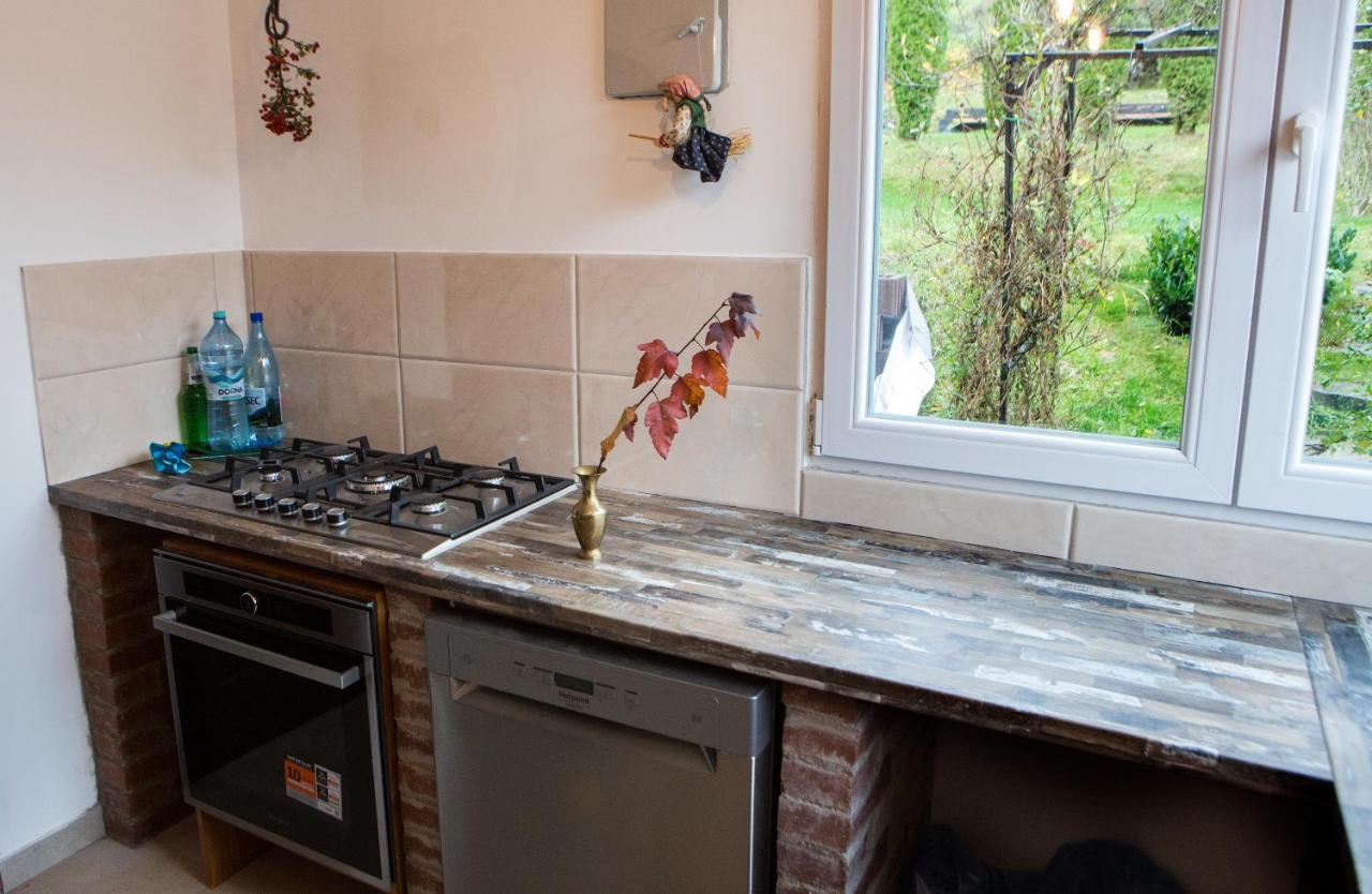 Casa Cu Magnolii Hotell Poienile Izei Eksteriør bilde