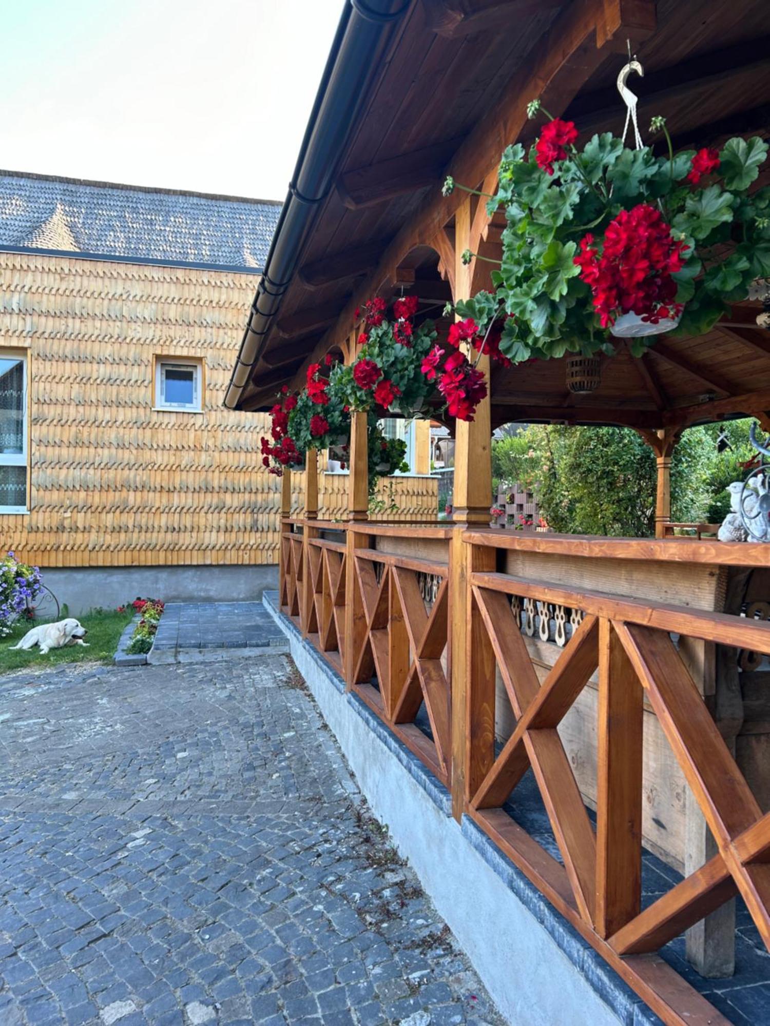 Casa Cu Magnolii Hotell Poienile Izei Eksteriør bilde