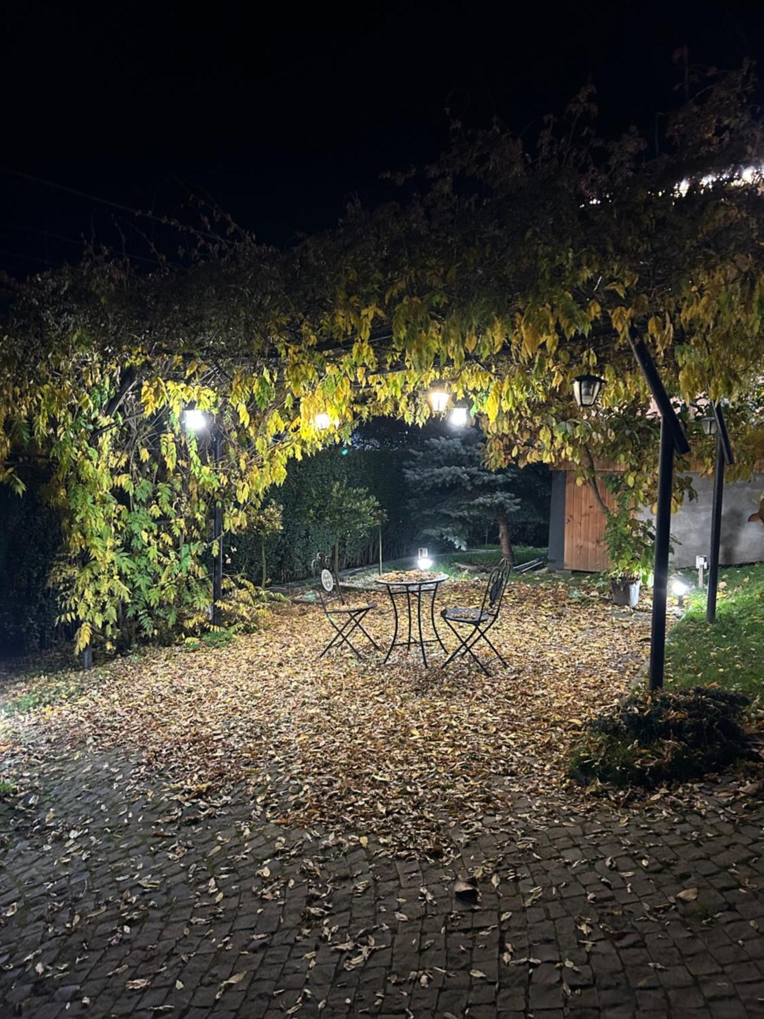 Casa Cu Magnolii Hotell Poienile Izei Eksteriør bilde