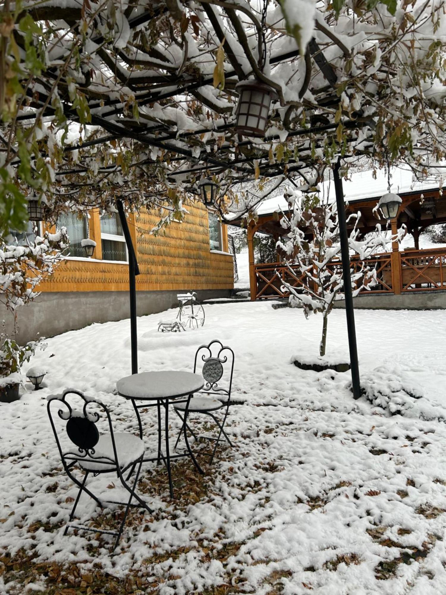 Casa Cu Magnolii Hotell Poienile Izei Eksteriør bilde